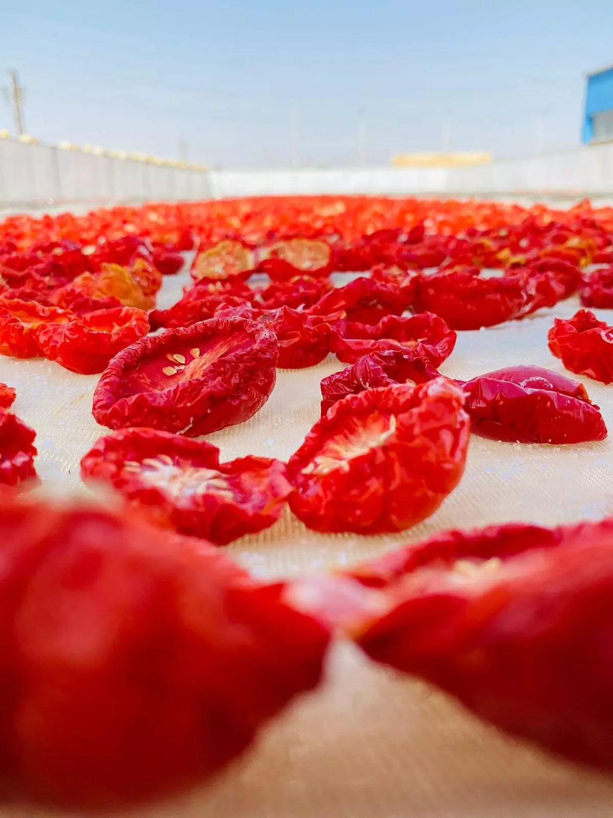 481b141aa19a2a323f0e1558d110948e