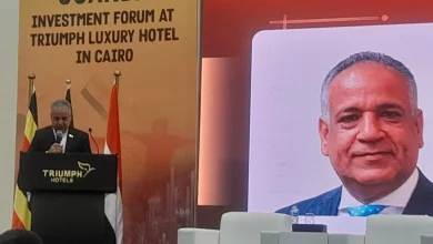 54be514833ce9f226a53ebfdc48b705e