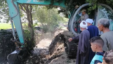 565793d4e6f6662b1364d3deb5f93f82