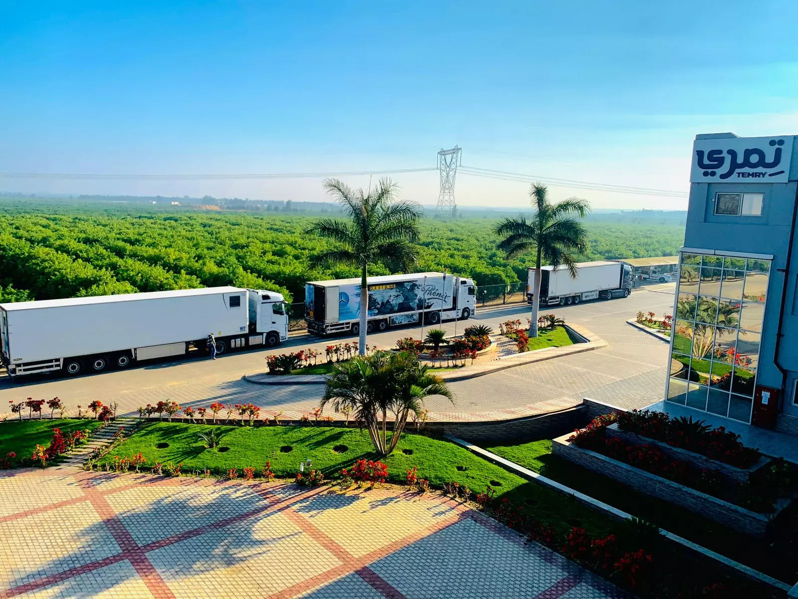 محمود العناني: انطلاق أول شحنة دواجن مصرية إلى قطر بواقع 10 حاويات اليوم