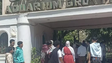 5f0eb4a84cad2fa3a6ba0de62014c205