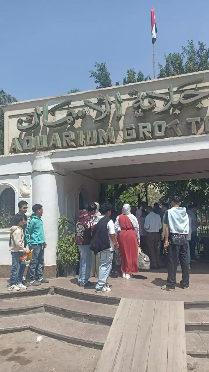 5f0eb4a84cad2fa3a6ba0de62014c205