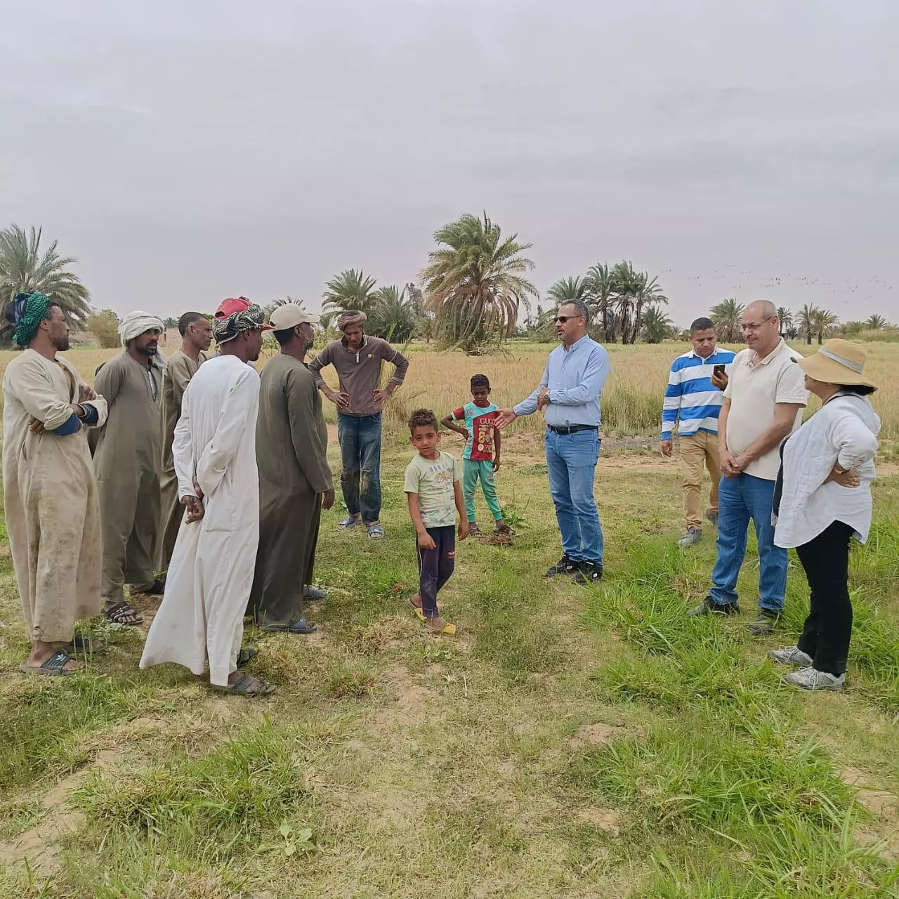 6a5f27e6fac6d414479a98e6d00f1c18