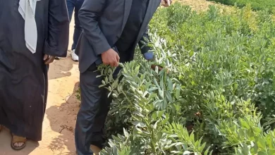 6f9c0a9b436d1f57672575b331b15a39