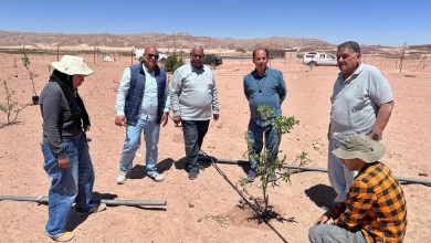 71cd81a6483a5e9e648f5d915f611ce5