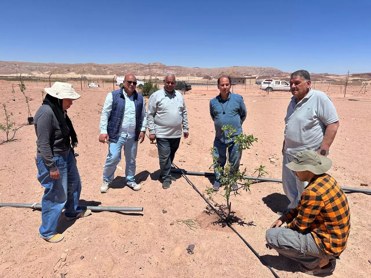 71cd81a6483a5e9e648f5d915f611ce5