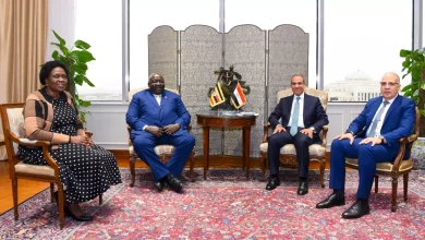 74ba7b5a8054c555358853bba5919c85