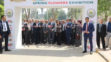 7a37888256caf33158af0be66152c6e4