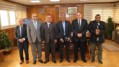 816dedf18ea3ad2fa22c31777f39f396