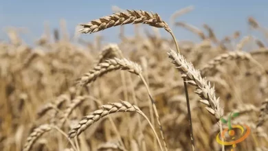 84d76f7cd88eb78cc762673092384df1