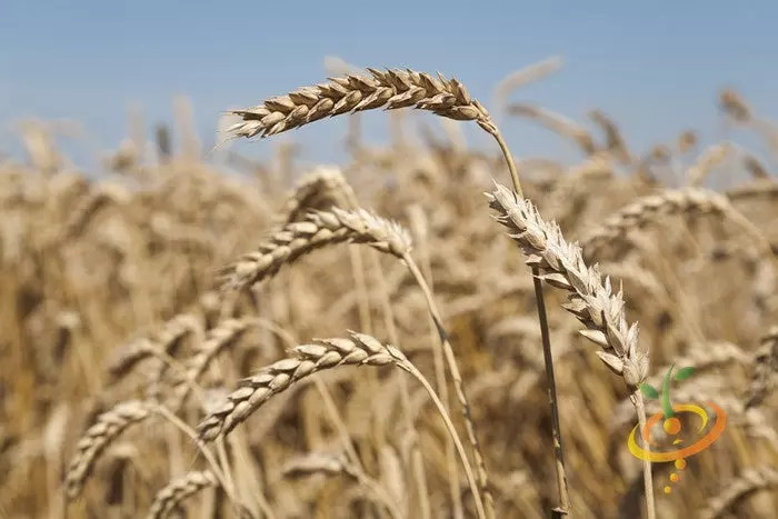 84d76f7cd88eb78cc762673092384df1