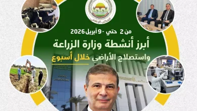 874707980f47c39836291903c01d54a3