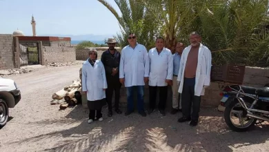 8b142d03f5b3621332a60d8fb13ecd7b