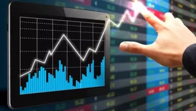 91cfdf97daabc64616f5799d0eb6613d