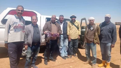 9a057e54138cc8b618c82174735faf3a