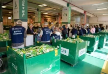 9e788bde60aab69dc52682ab37cd1d62