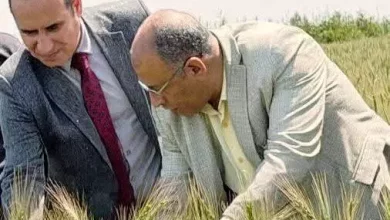 A492c8b9df3298fb4db772f14dff0700