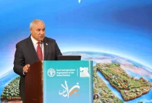 Afa4481924f8d5ee06fc50c3f6f6c795