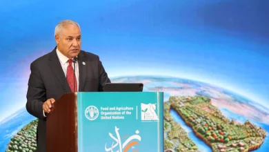 Afa4481924f8d5ee06fc50c3f6f6c795