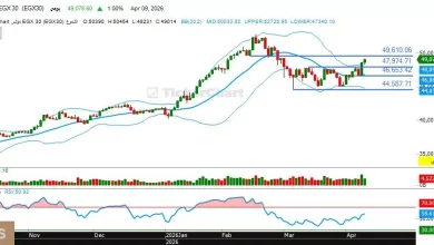 B658a2daaec8c0d5812f8a81363a38d7