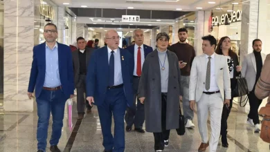 C398beaff5e0fe83af29c1d175fd6548