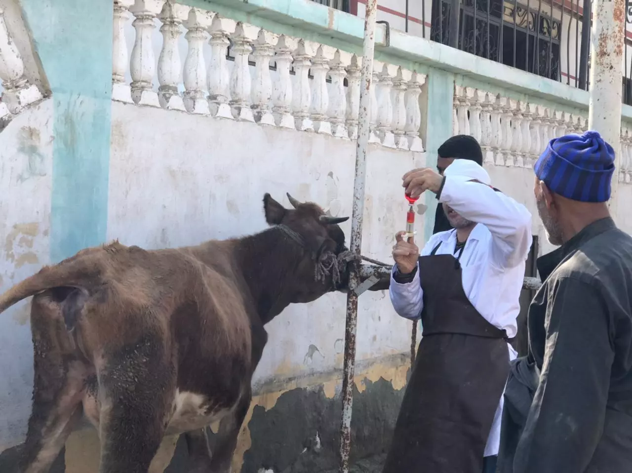 C86878018844b9556a6d0b4369c0c38f