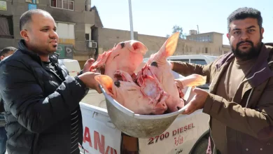 C9069c62b1a1509dbce7d6a5aac01131