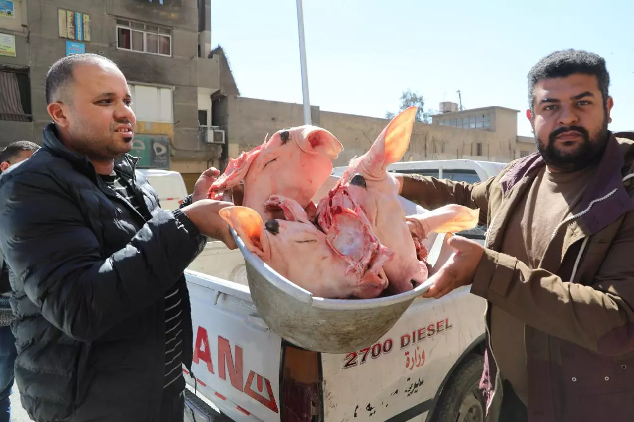 C9069c62b1a1509dbce7d6a5aac01131