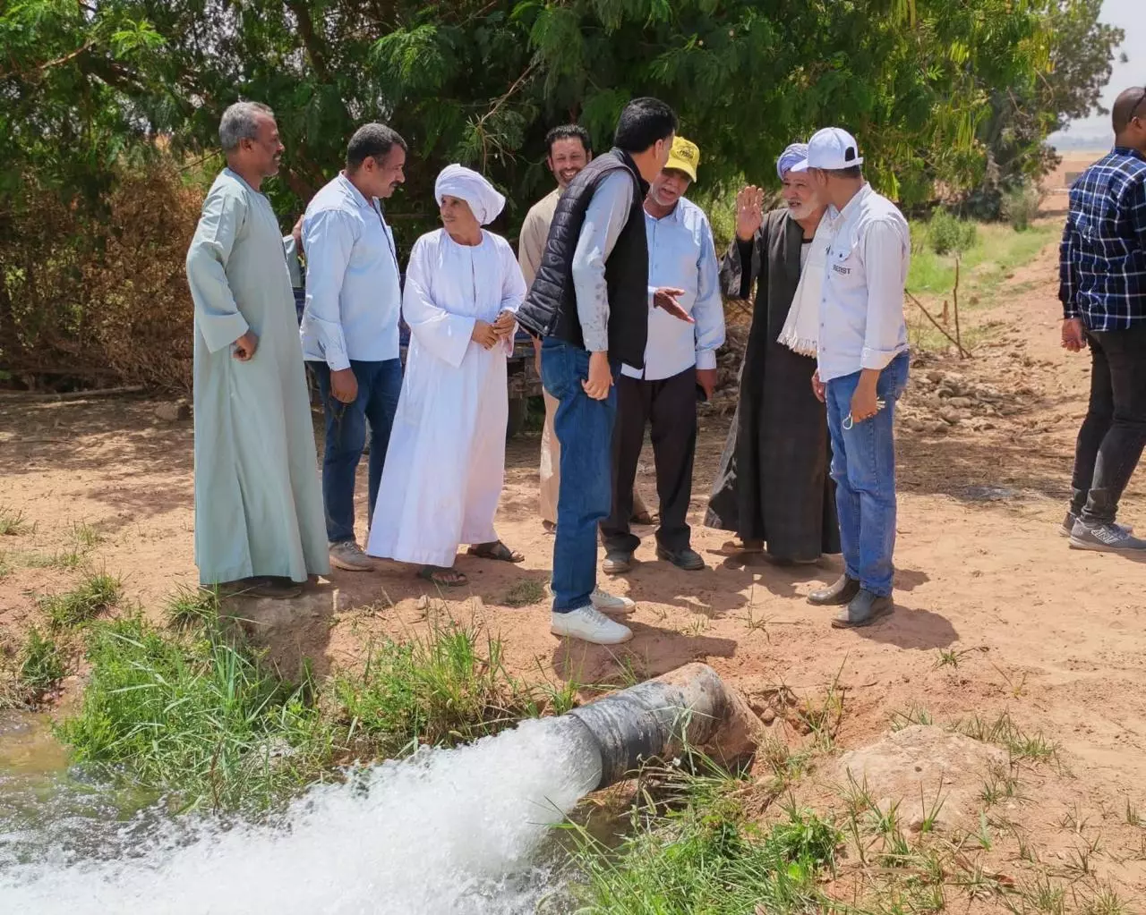 Ce1517385ea4125640c8de2501861646