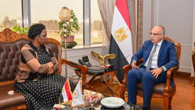 Cf30e4232a2f5332479376a9c6c9d522