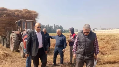 D263439d0fb880b26c509e716b90ed52