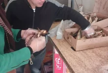 E0ec309f4f41ea16ec725261aec62897