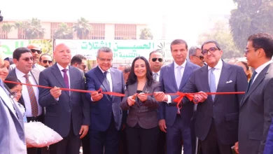 E1d6ae958d1a67c0ad99ff1c6f19bdeb