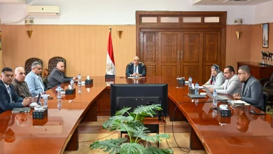 E1d8c7064d5deb7218009c2563db1ff5