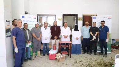 Ea03cdb34bafb5777498abcfabbfa410