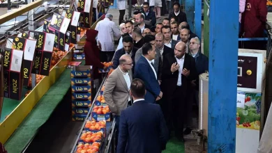 Ec5387d8c4851d3a52fd8440528a20b6