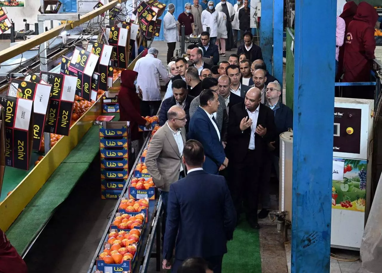 Ec5387d8c4851d3a52fd8440528a20b6