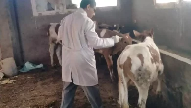 F907921f9889dea78936f1d431634201