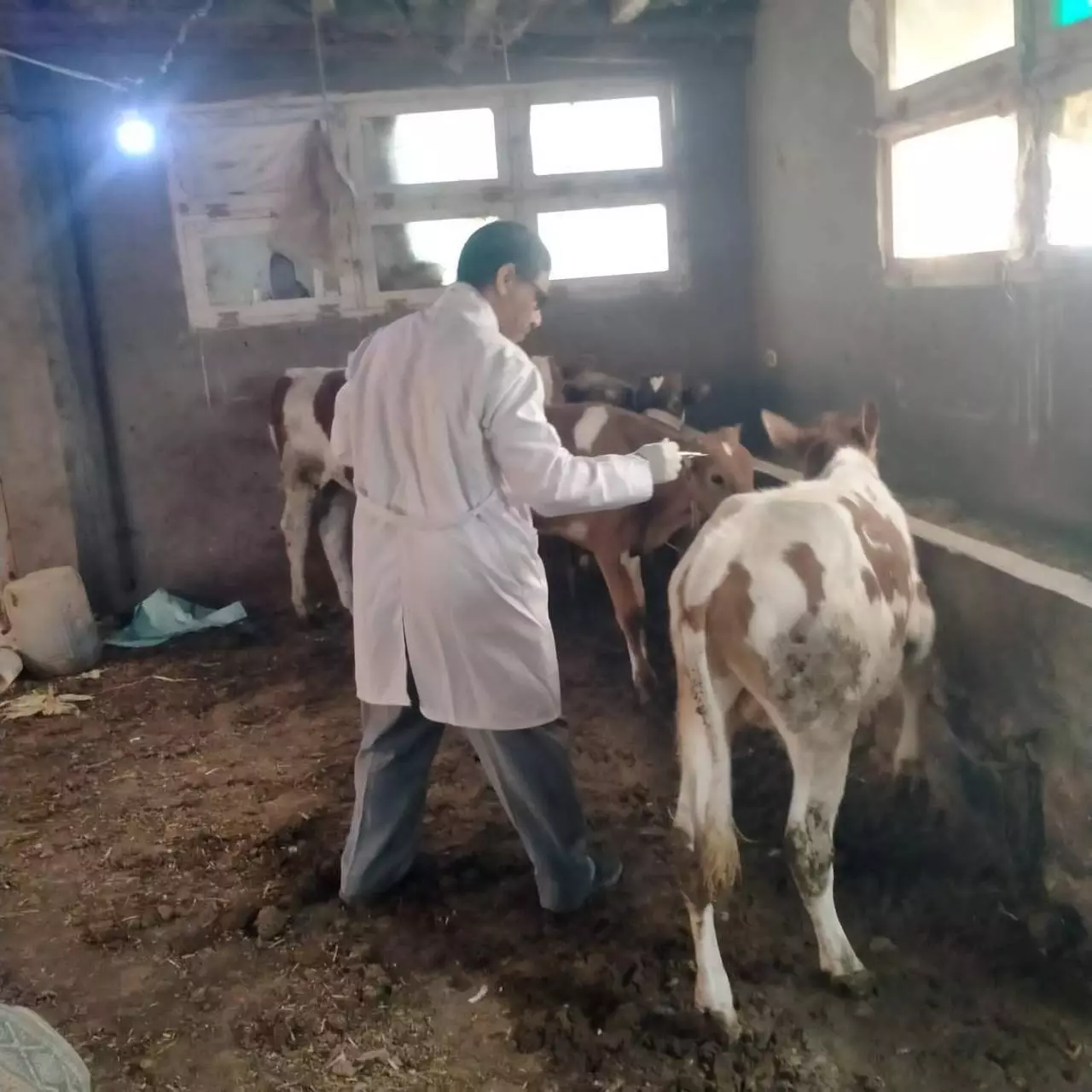 F907921f9889dea78936f1d431634201