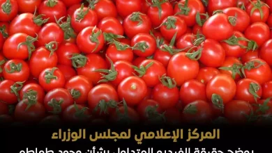 4aaf77a5e7377456d4bf6de91efad388